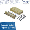 Conector Molex 10 pines 2.54mm