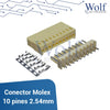 Conector Molex 10 pines 2.54mm