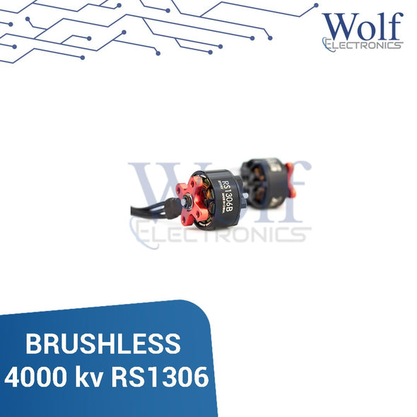 BRUSHLESS 4000 kv RS1306