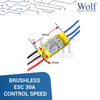 BRUSHLESS ESC 30A CONTROL SPEED