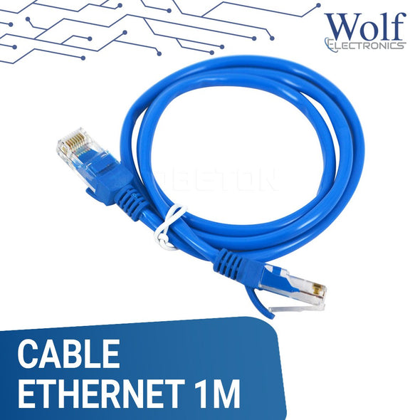 Cable Ethernet 1m