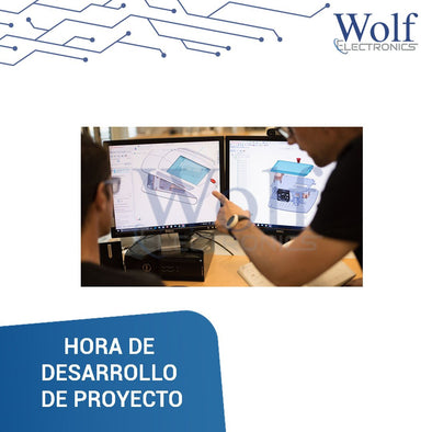HORA DE DESARROLLO DE PROYECTO