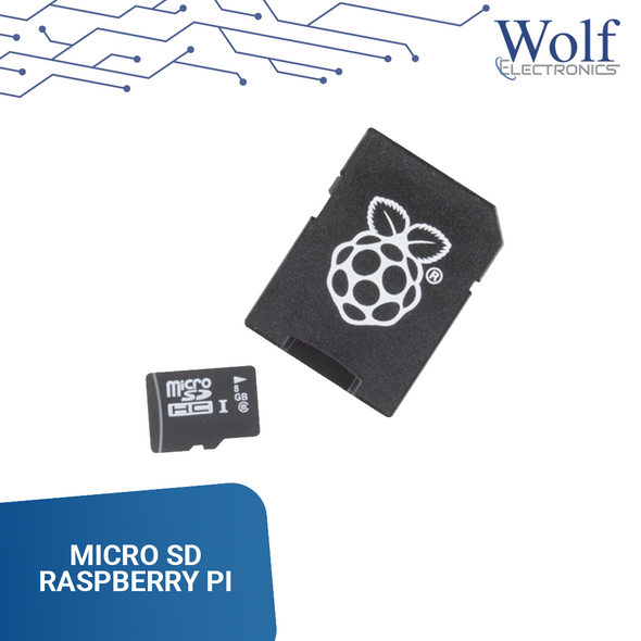 MICRO SD RASPBERRY PI 8GB