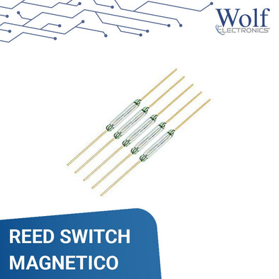 REED SWITCH MAGNETICO